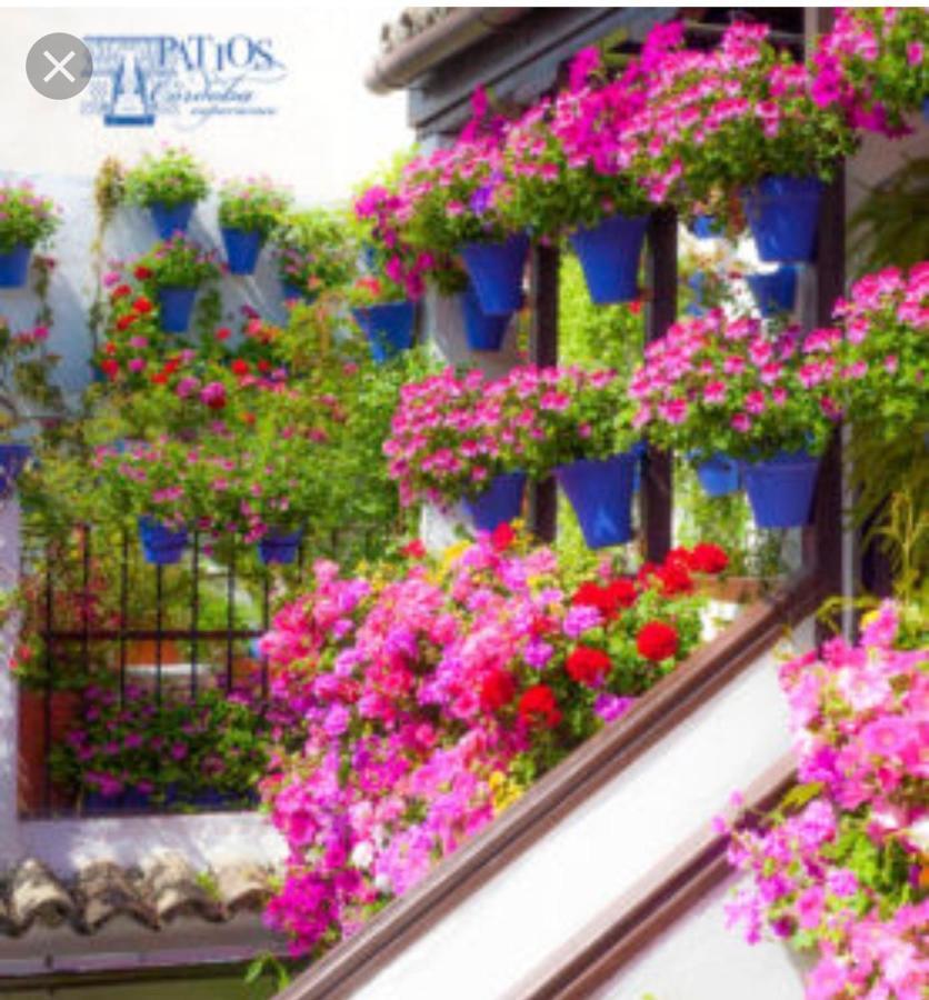 A 20 Metros De La Mezquita Catedral ,Apartamentos Turistico Cespedes 5 กอร์โดบา ภายนอก รูปภาพ