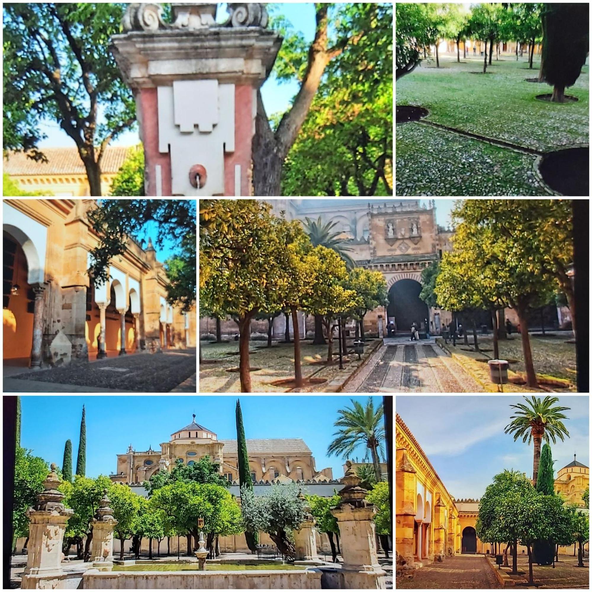 A 20 Metros De La Mezquita Catedral ,Apartamentos Turistico Cespedes 5 กอร์โดบา ห้อง รูปภาพ