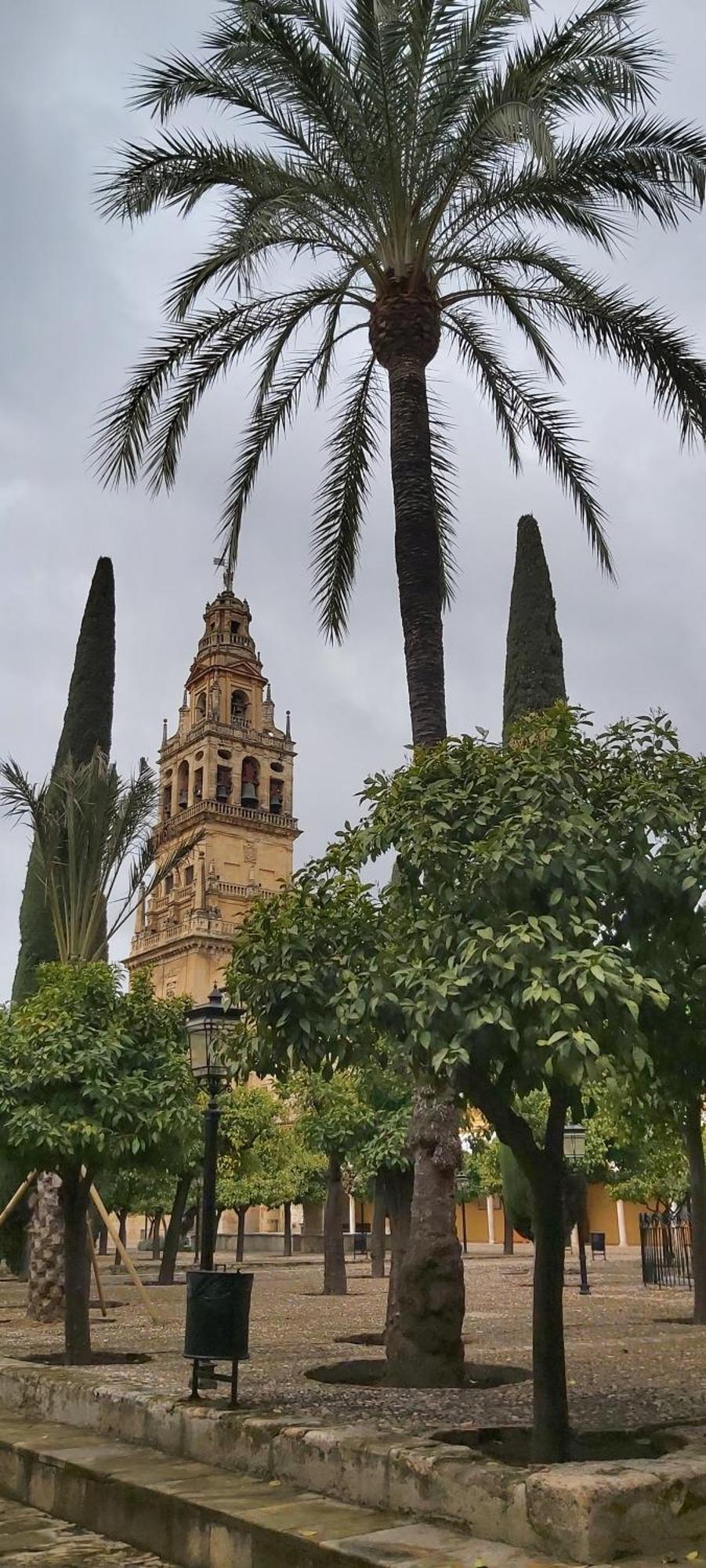 A 20 Metros De La Mezquita Catedral ,Apartamentos Turistico Cespedes 5 กอร์โดบา ห้อง รูปภาพ